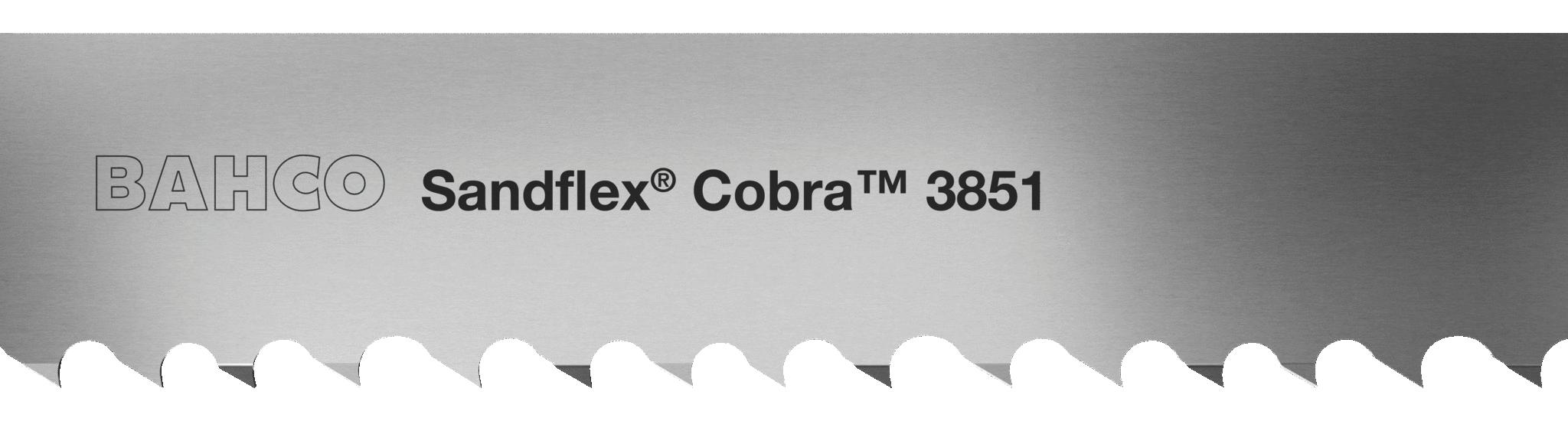 Pás pílový Sandflex Cobra 2480 mm - AG Náradie