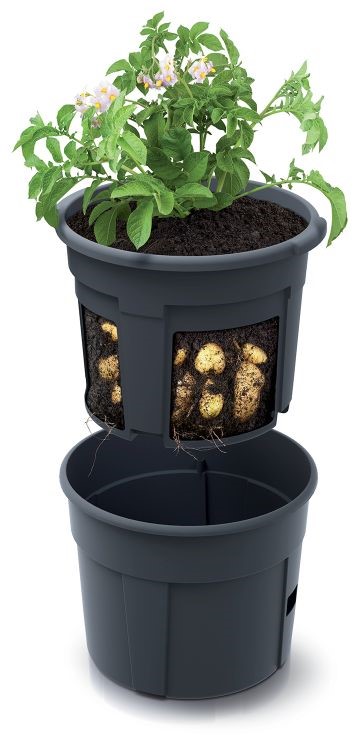 Kvetináč na pestovanie zemiakov 12L POTATO GROWER antracit IZIE300-S433 - AG Náradie