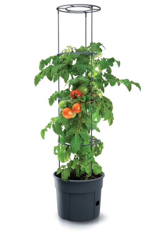 Kvetináč na pestovanie paradajok 12 L TOMATO GROWER antracit IPOM300-S433